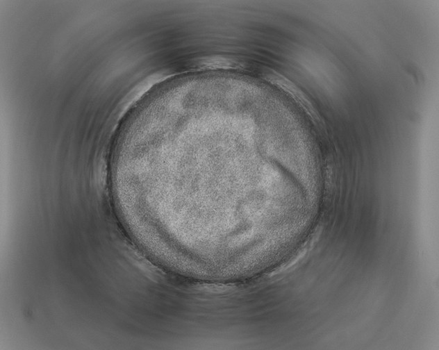 X0000114221023200911061502