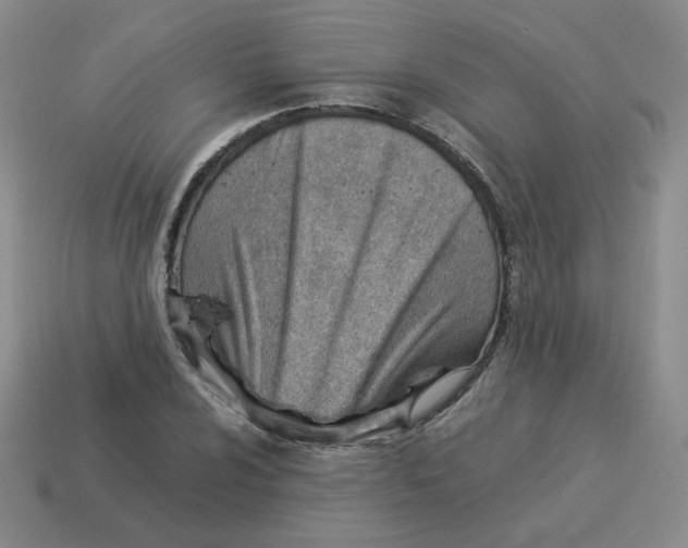 X0000114221024200911061502