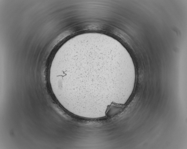 X0000114221026200911061502