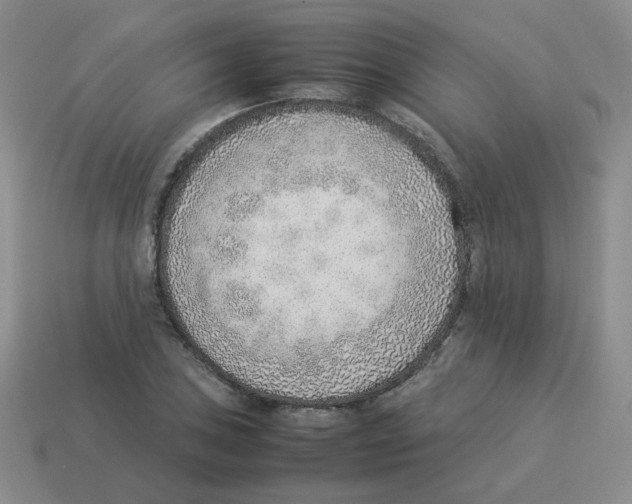 X0000114221027200911061502