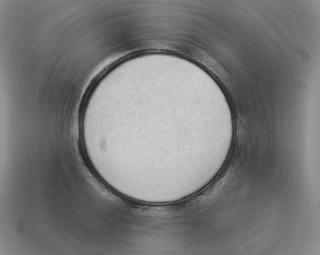 X0000114221028200911061502