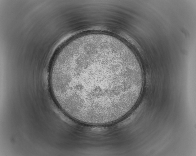 X0000114221029200911061502