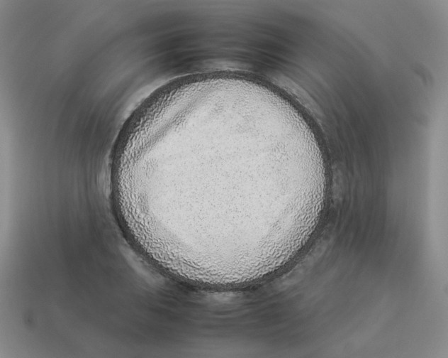 X0000114221031200911061502