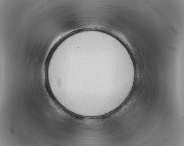 X0000114221032200911061502