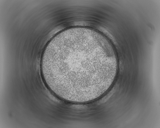 X0000114221033200911061502