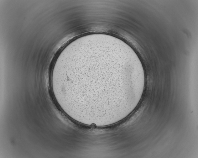 X0000114221034200911061502