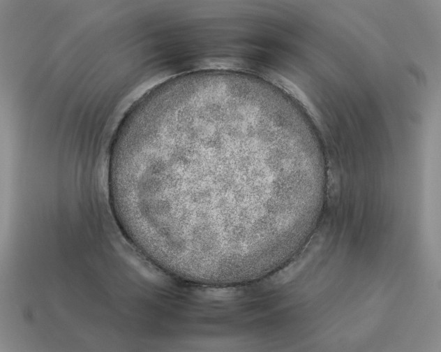 X0000114221035200911061502