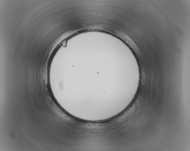 X0000114221036200911061502