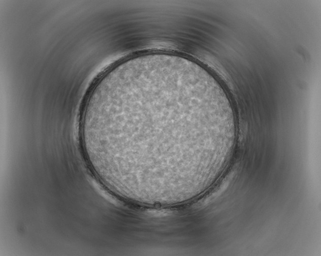 X0000114221037200911061502