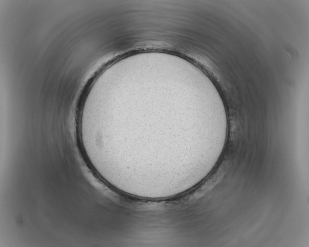 X0000114221038200911061502