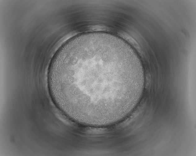 X0000114221039200911061502