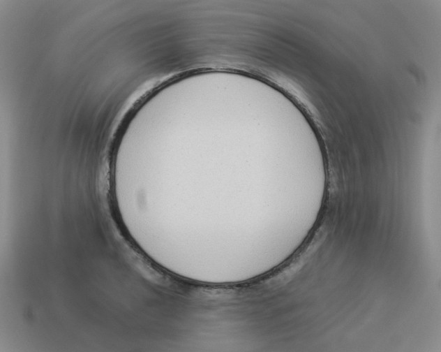 X0000114221040200911061502