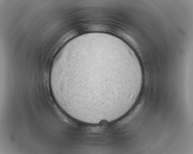 X0000114221041200911061502