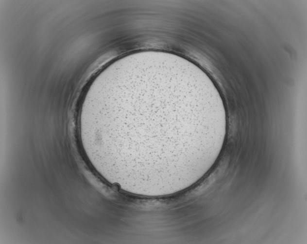 X0000114221042200911061502