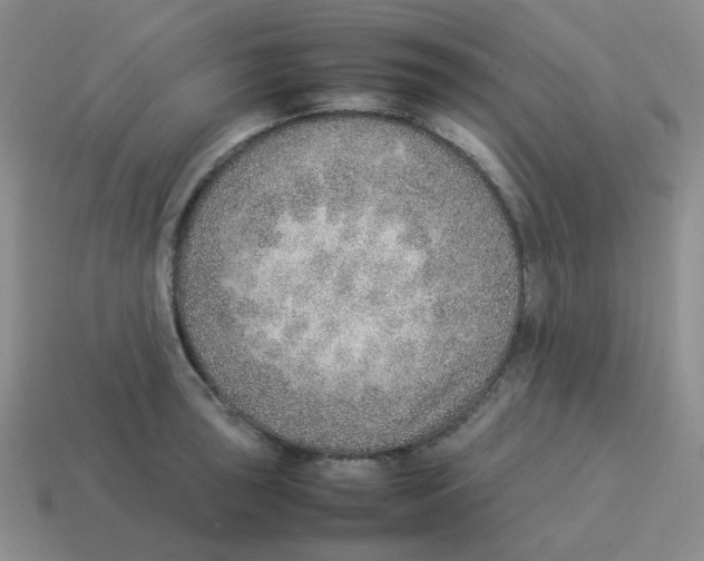 X0000114221043200911061502