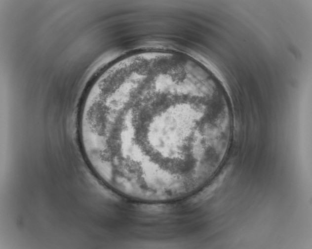 X0000114221045200911061502