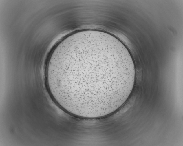 X0000114221046200911061502