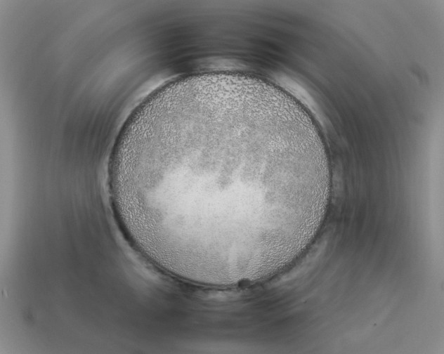 X0000114221047200911061502