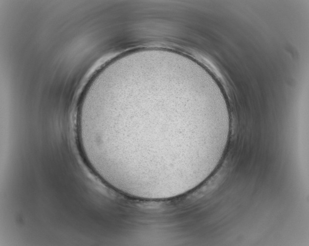 X0000114221048200911061502