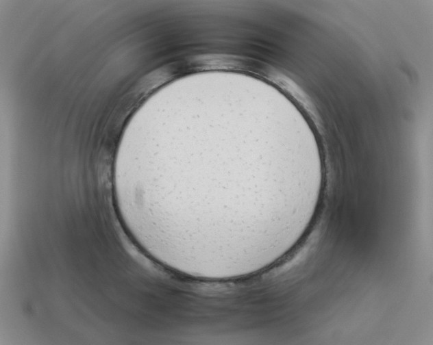 X0000114221049200911061502