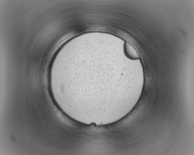 X0000114221050200911061502