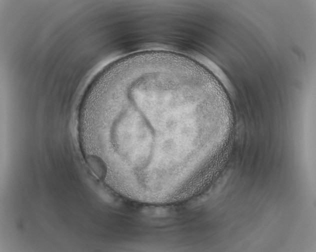 X0000114221051200911061502