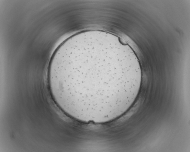 X0000114221052200911061502