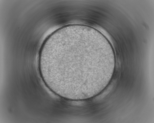 X0000114221053200911061502