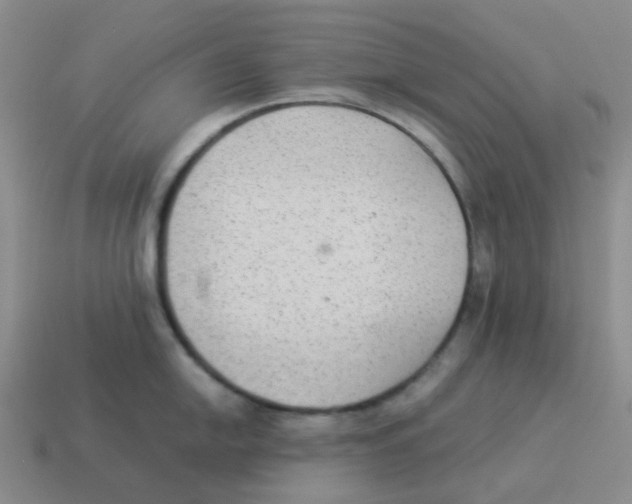 X0000114221054200911061502