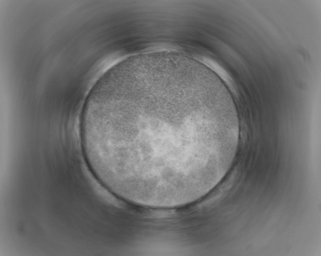 X0000114221055200911061502