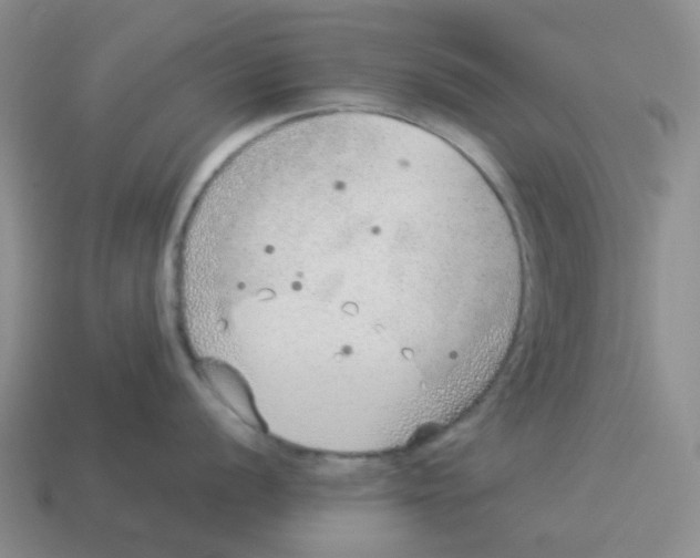 X0000114221056200911061502