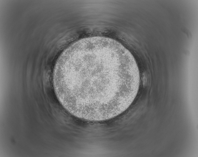 X0000114221059200911061502