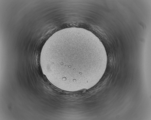 X0000114221060200911061502