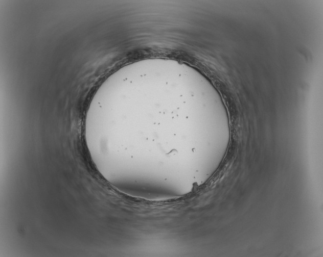 X0000114221061200911061502