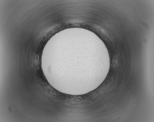 X0000114221062200911061502