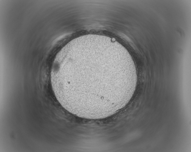 X0000114221063200911061502