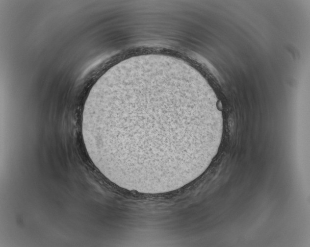 X0000114221064200911061502