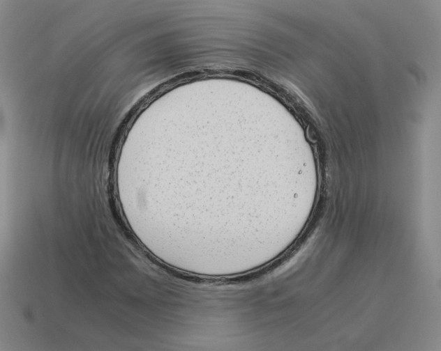 X0000114221065200911061502