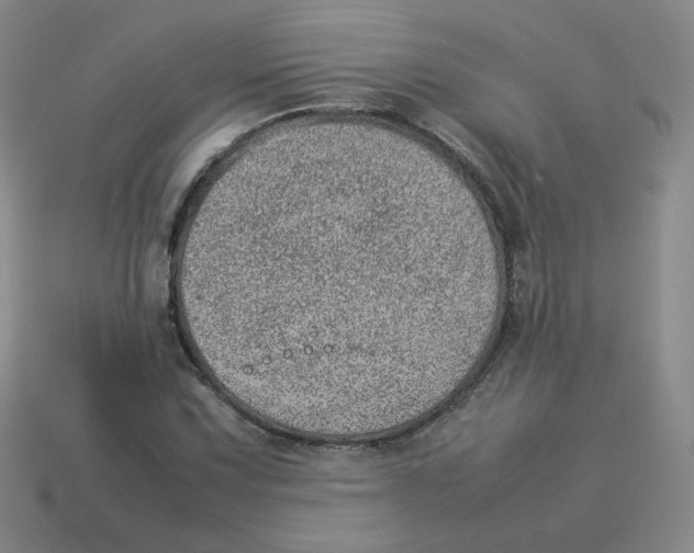 X0000114221067200911061502