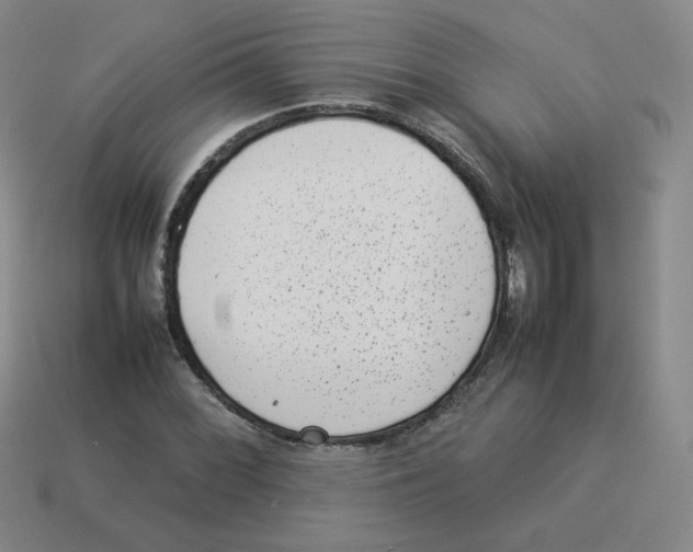 X0000114221068200911061502