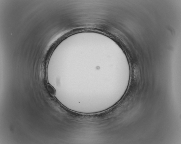 X0000114221069200911061502