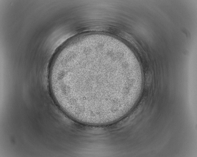 X0000114221071200911061502