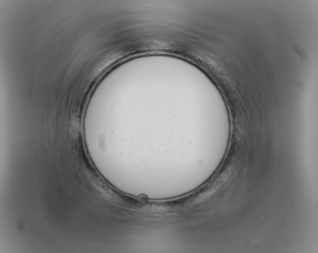 X0000114221073200911061502