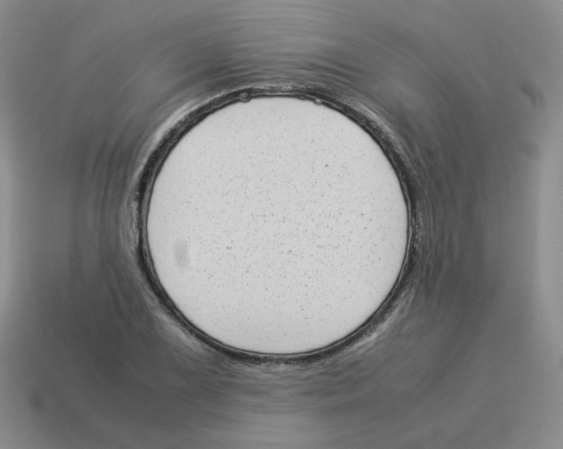 X0000114221075200911061502