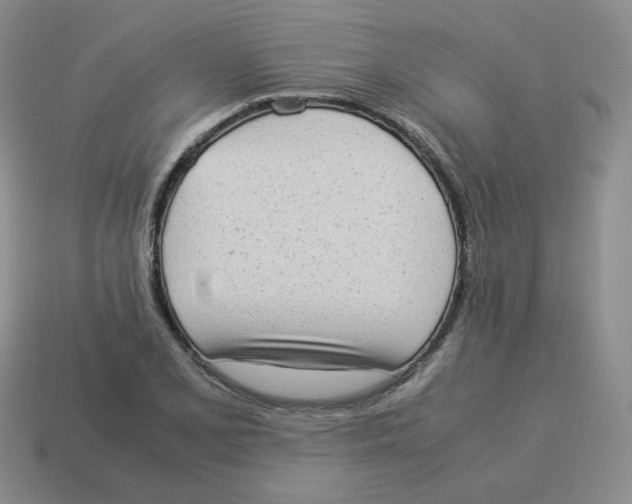 X0000114221077200911061502