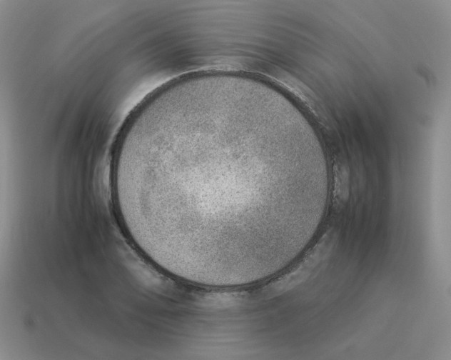 X0000114221078200911061502