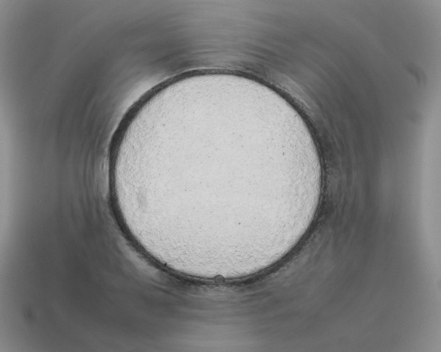 X0000114221079200911061502