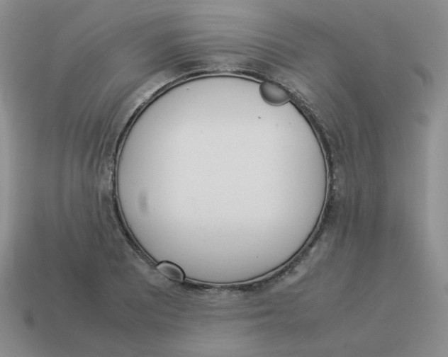 X0000114221081200911061502