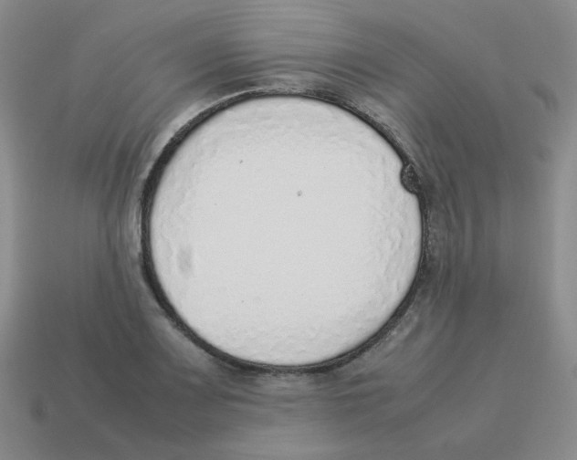 X0000114221083200911061502