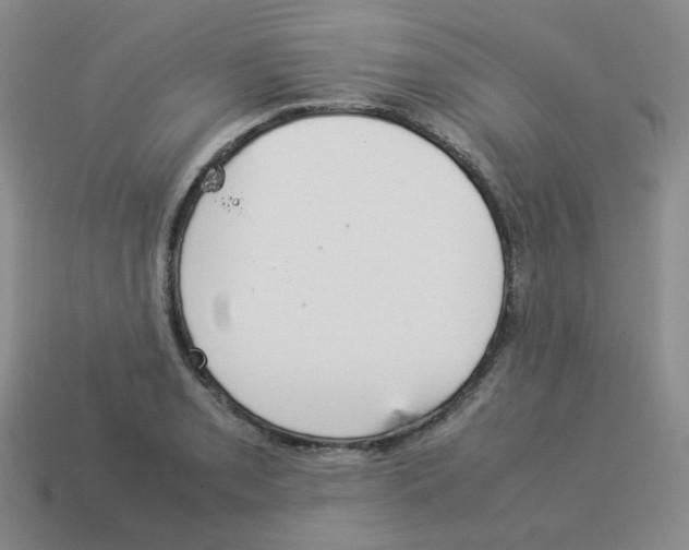 X0000114221085200911061501